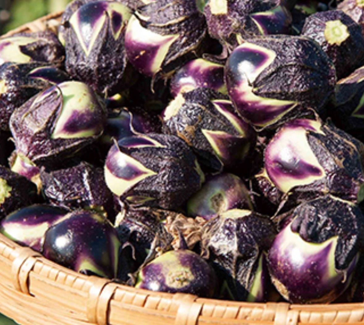 断捨離中様　確認用　2200円 断捨離中☆プロフチェック必須です!様専用⭐️ - メルカリ