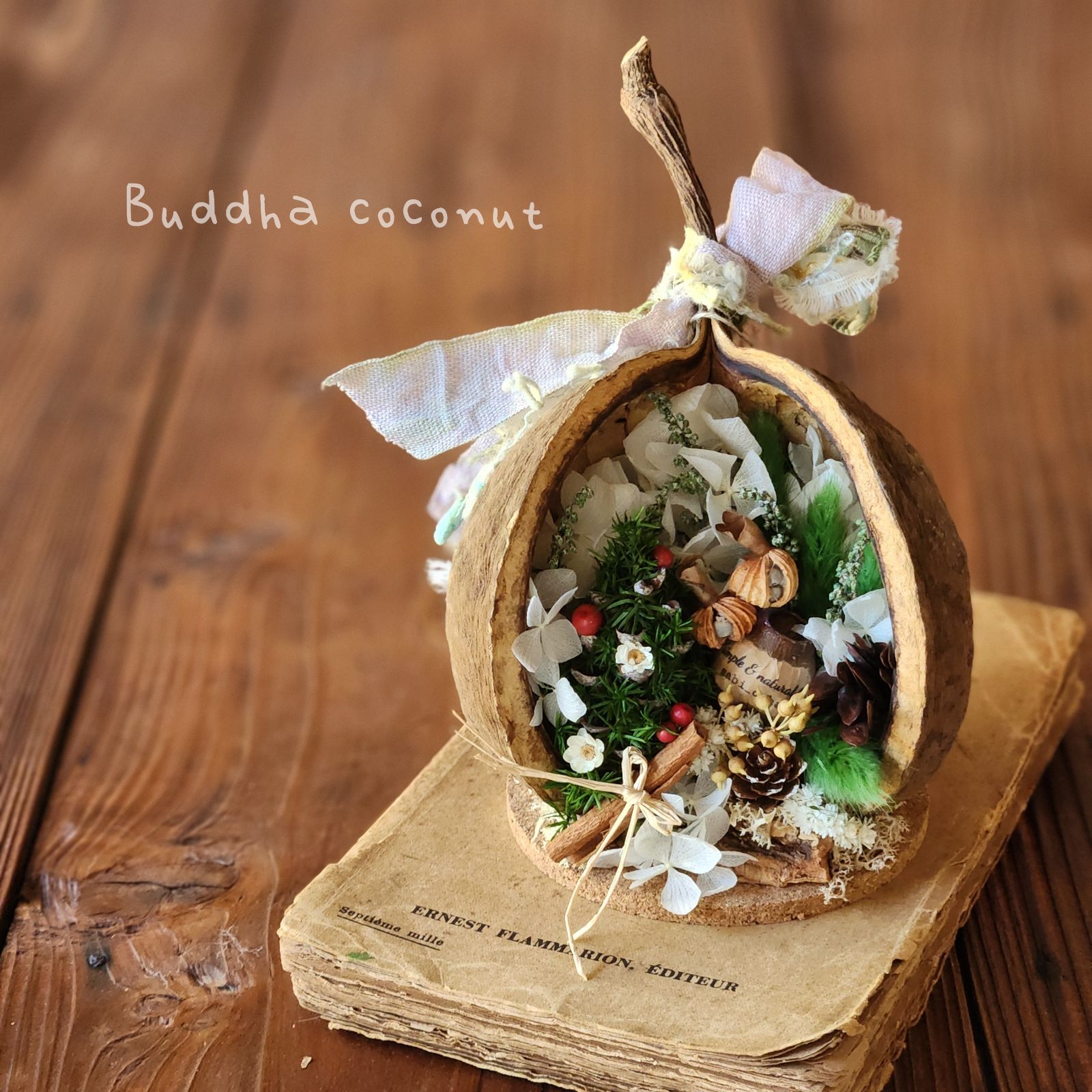 Christmas ブッダナッツアレンジ (大きめサイズ)1個 11/26 Christmas ブッダナッツアレンジ (大きめサイズ)1個 11/26 Christmas