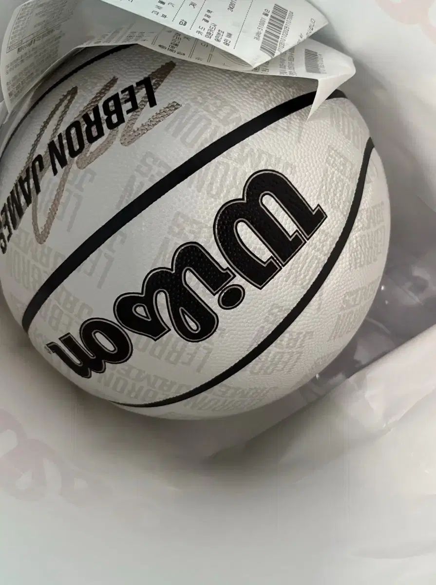 ウィルソン レブロン ジェームズ サインボール