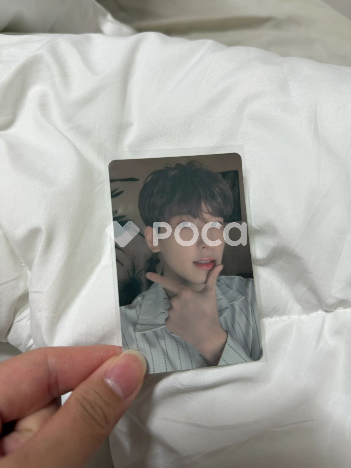  Seventeen ウォヌ セブチ Happy Ending CARAT Edition 写真 チェキ K-POP