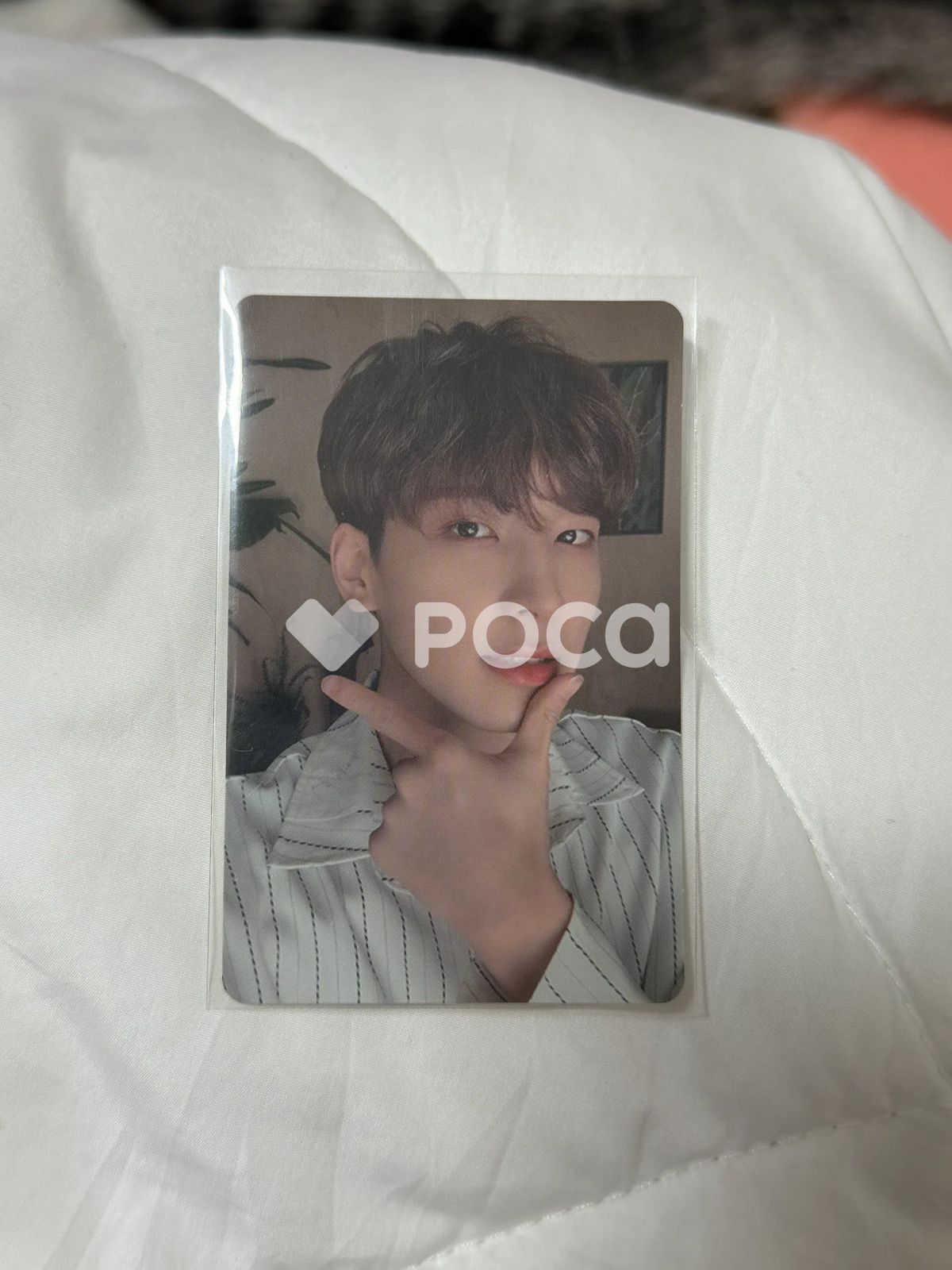 Seventeen ウォヌ セブチ Happy Ending CARAT Edition