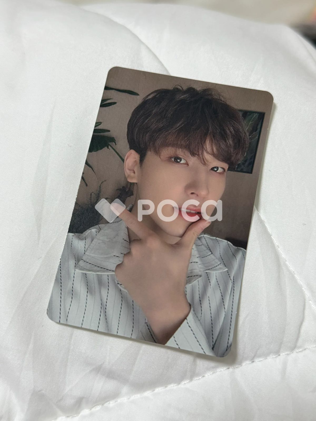 Seventeen ウォヌ セブチ Happy Ending CARAT Edition