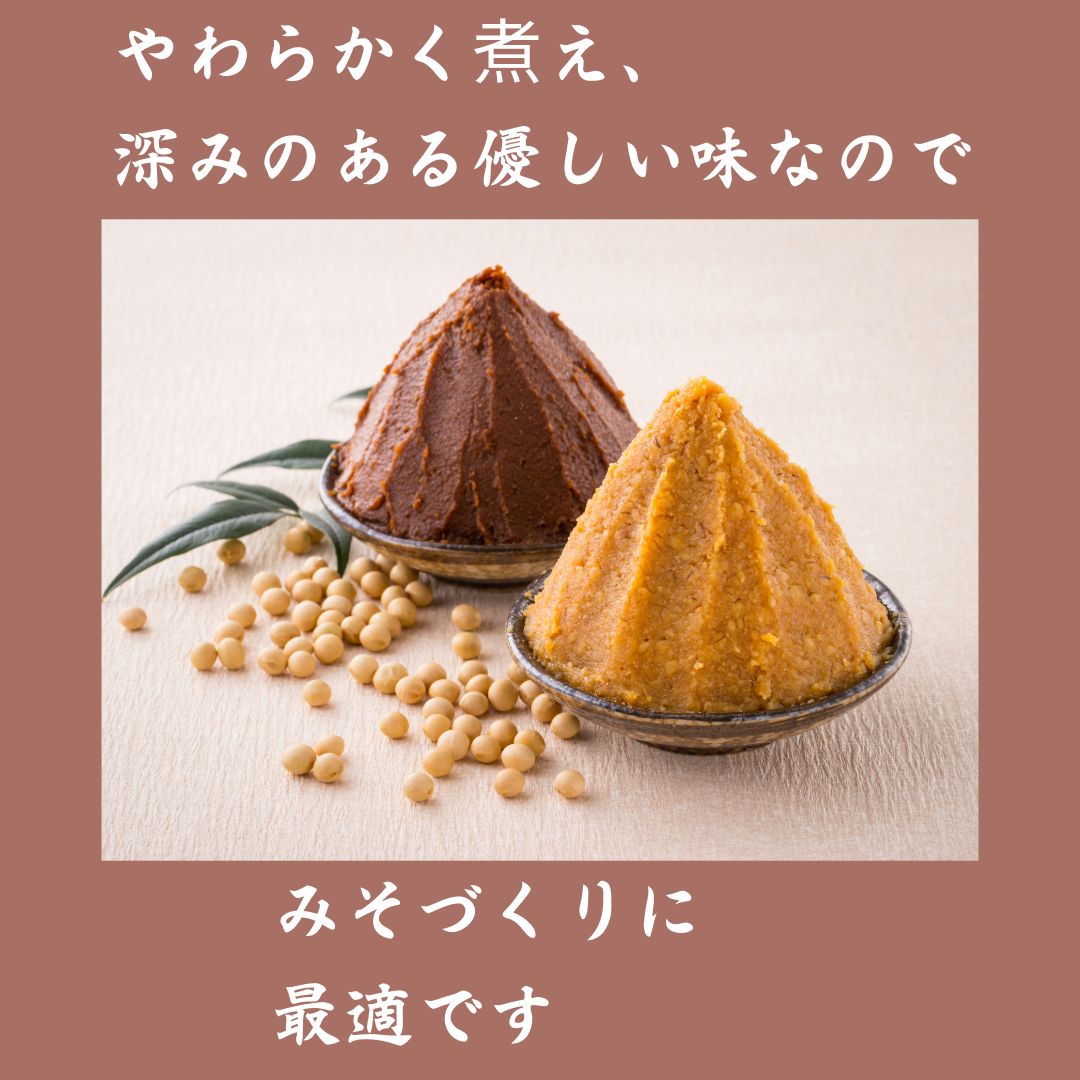 有機大豆10kg(1kg×10) 農薬・化学肥料・除草剤不使用 北海道産とよ