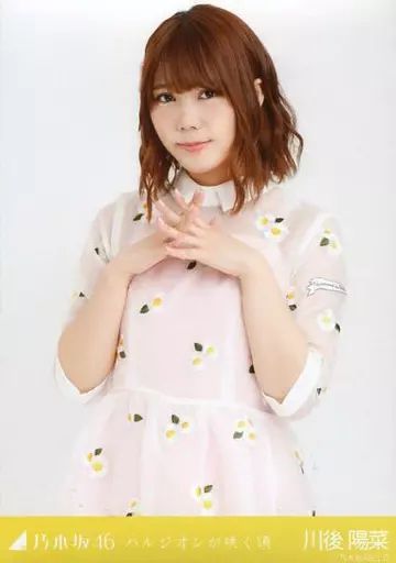 中古】生写真(乃木坂46) 川後陽菜/上半身/「ハルジオンが咲く頃」会場