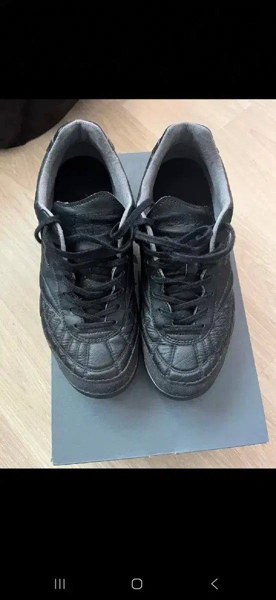 モレリアサラジャパン