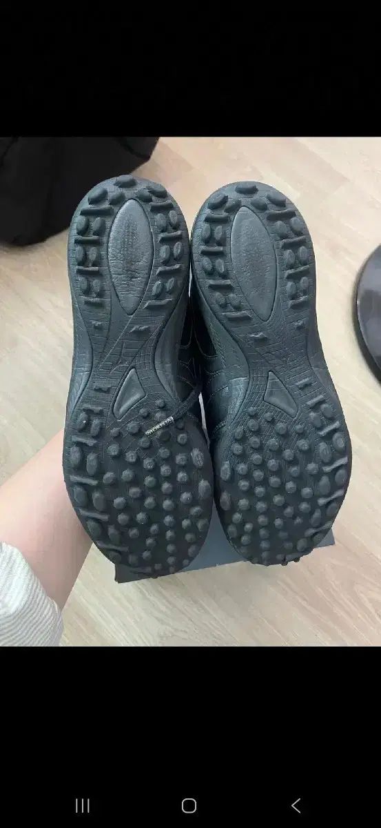 モレリアサラジャパン