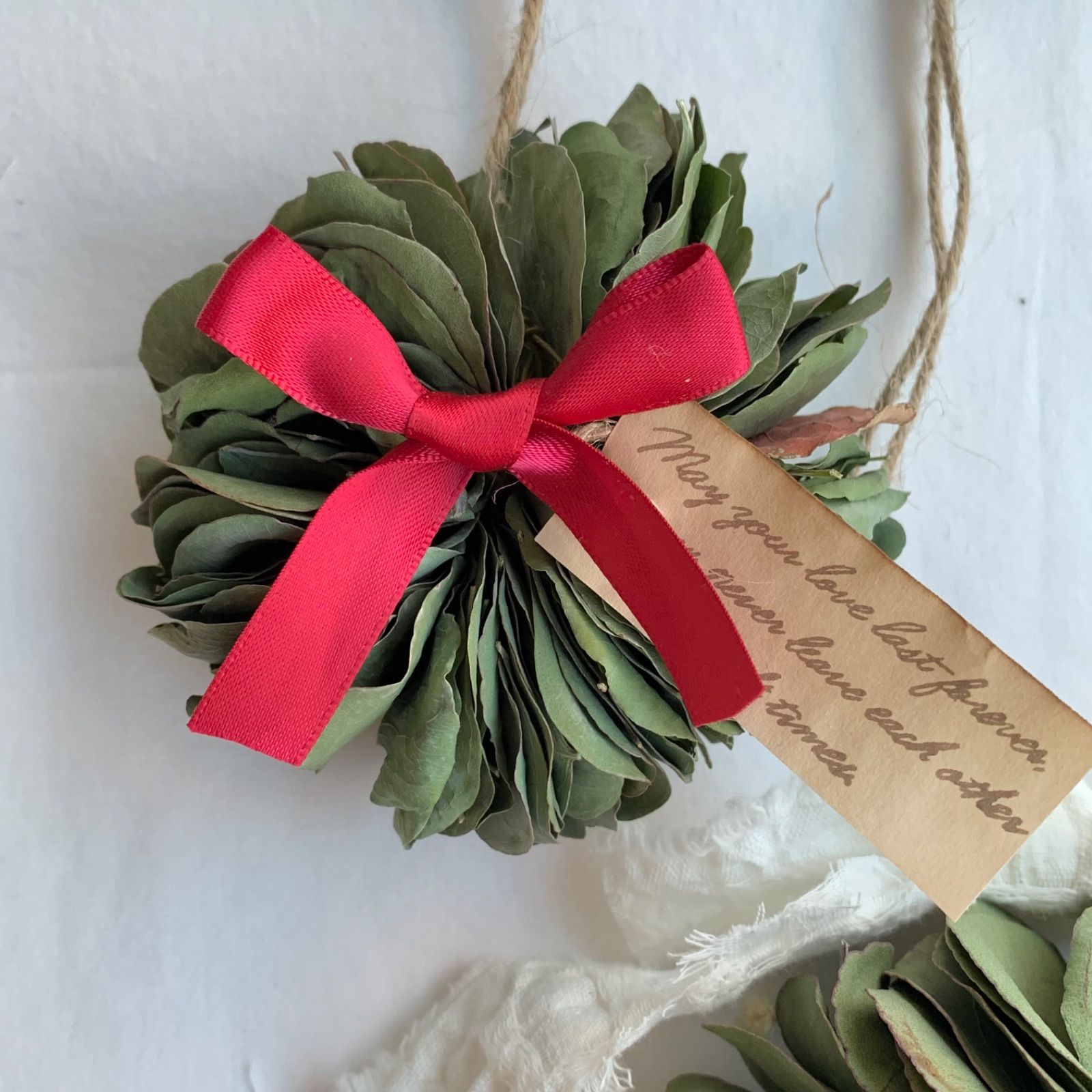 クリスマスリース🎄2点セット🤶ユーカリポポラス🎄ポポラス