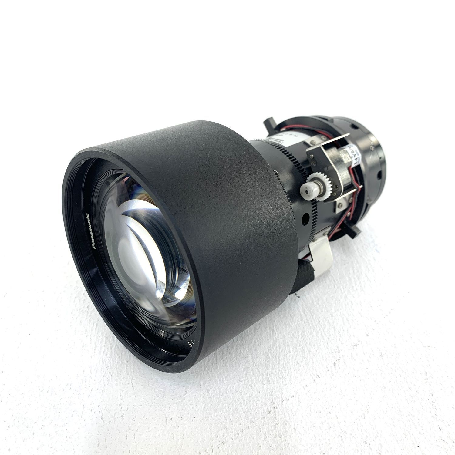 アキレスモルフォ9頭UVドイツ箱