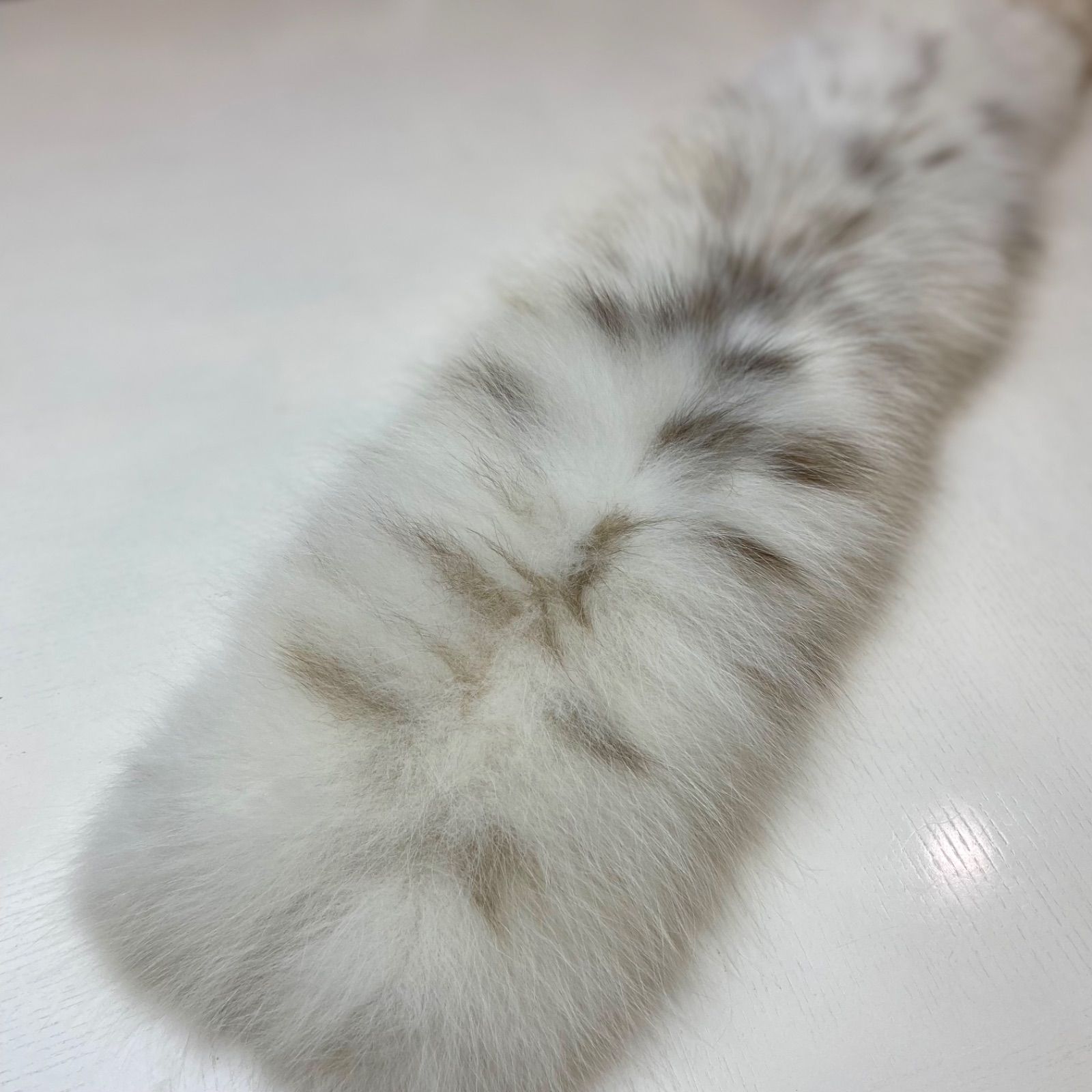 希少！！ 最上級✨LYNX CAT （リンクスキャット）両面毛皮 マフラー