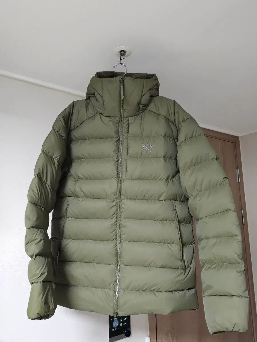 ARC TERYX アークテリクス トゥーリウム WHO フーディ タツ L