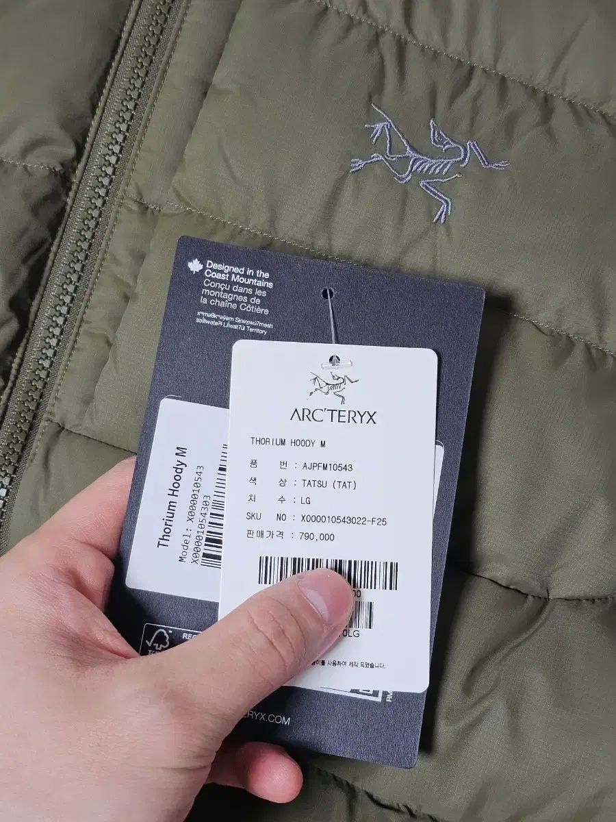 ARC TERYX アークテリクス トゥーリウム WHO フーディ タツ L