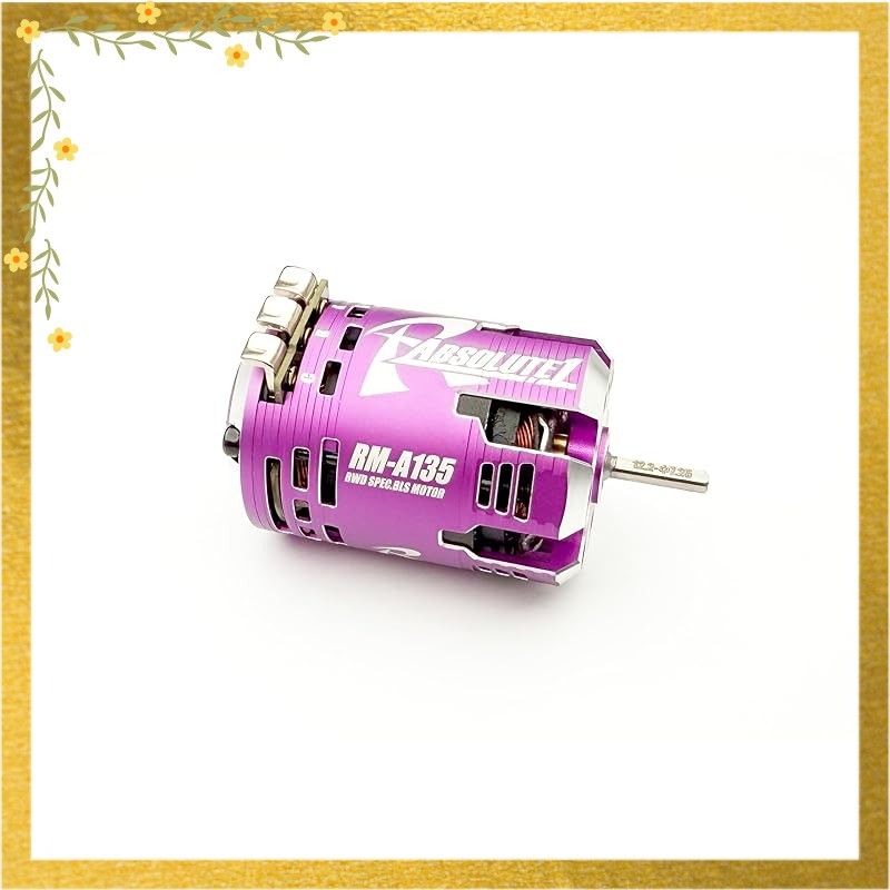 レーヴ ディー Reve D モーター パープル 13 5 T RM A 135 P