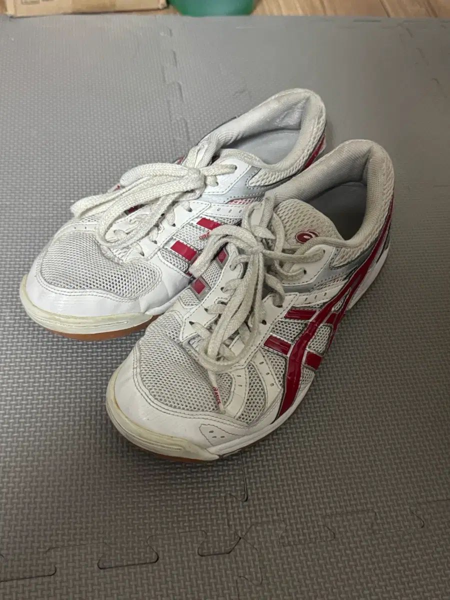 アシックス ローテ リーブル 入試用 フレンチテリー