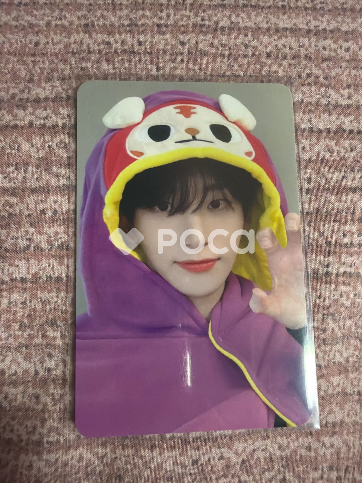 2023 CRAVITY CHARACTER [WINTER CCREW] ポップアップストア ククル