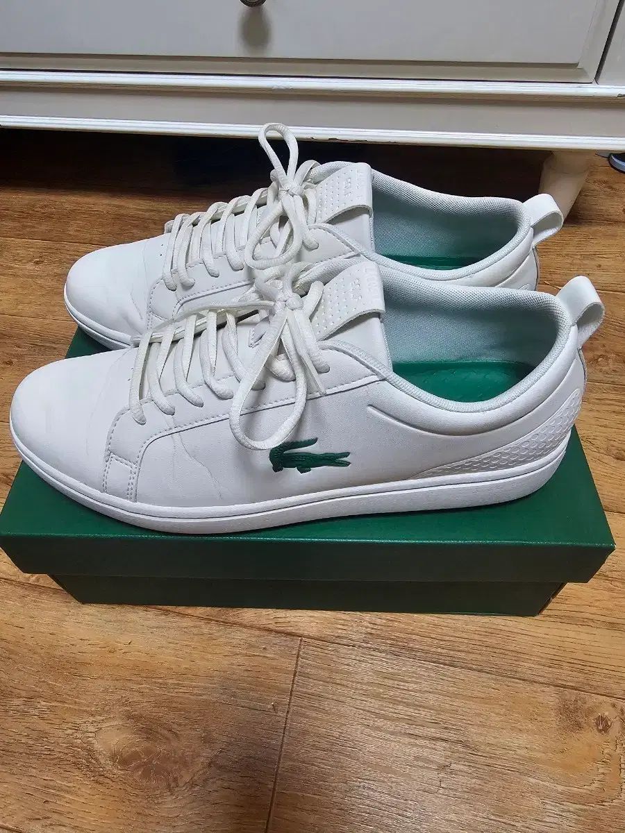 フィールド1回 げ LACOSTE ラコステ メンズ ゴルフシューズ 280 mm
