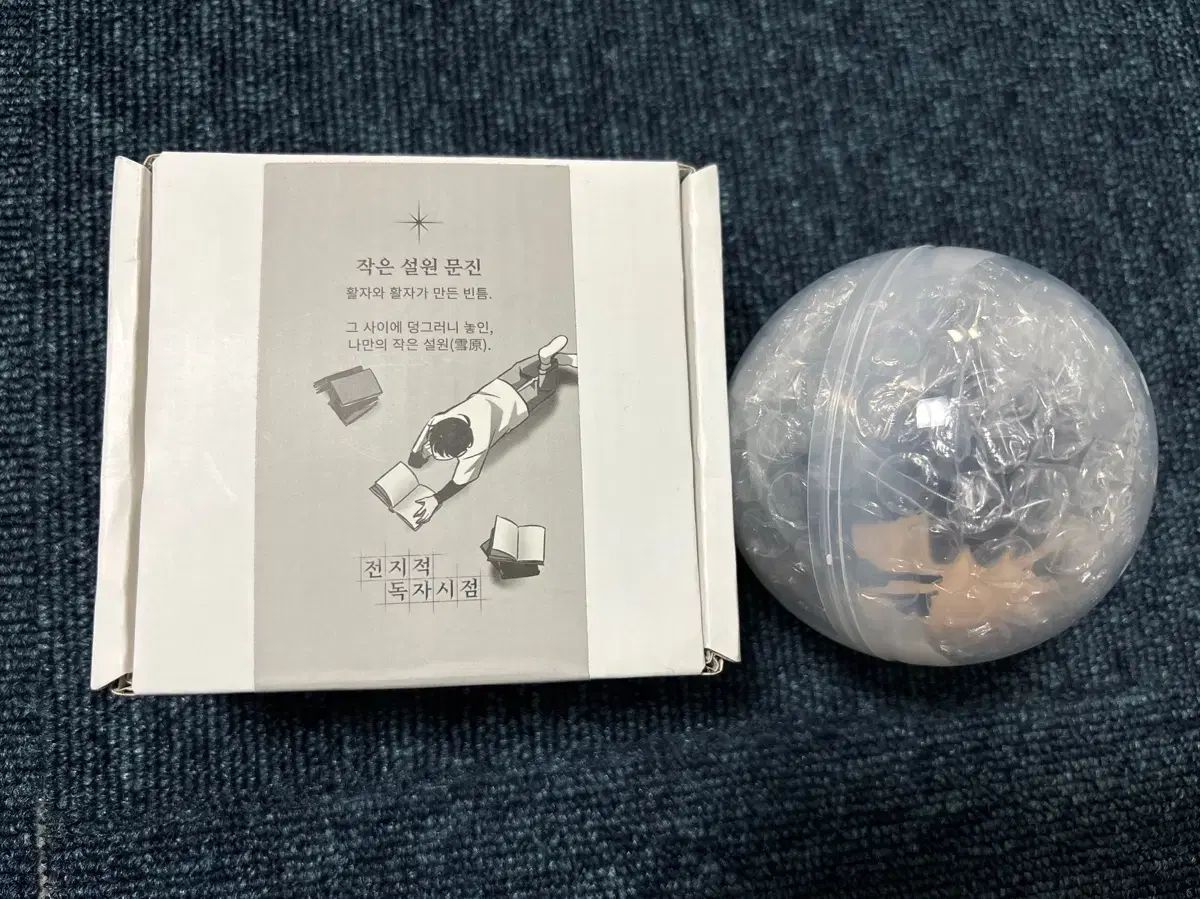 全知的な読者の視点から 小さな雪原 ムーン文鎮 チュンヒョク スクイーズ