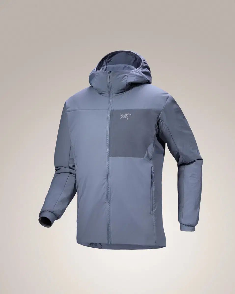 S級 ARC TERYX アークテリクス プロトン フーディー ストラタス M