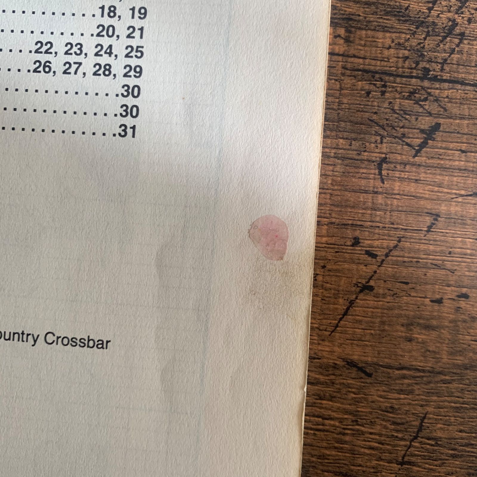 海外 ヴィンテージ 刺繍図案 Love Bears All Things（Dale Burdett