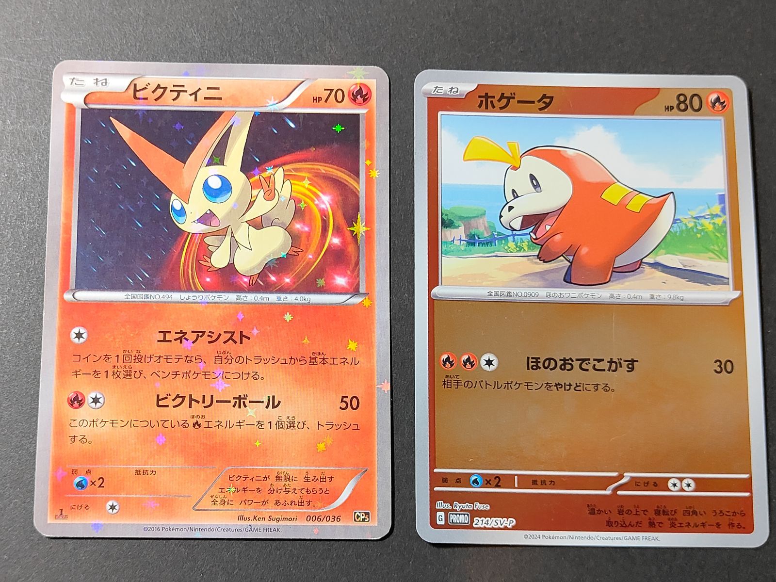 aca469 214/SV-P ホゲータ ビクティニ 006/036 CP5 ホロ ポケモン