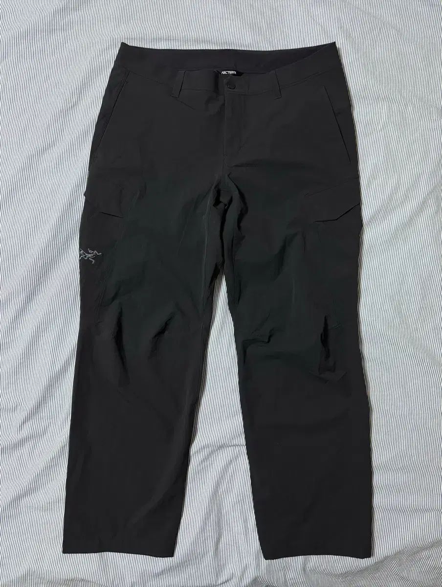 S級 ARC TERYX アークテリクス ラム파트 パンツ ブラック 36