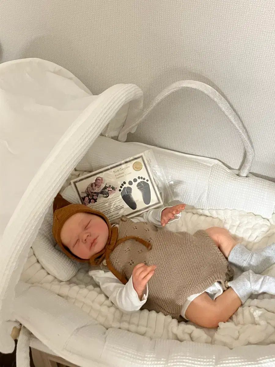 バウンティフルベイビー