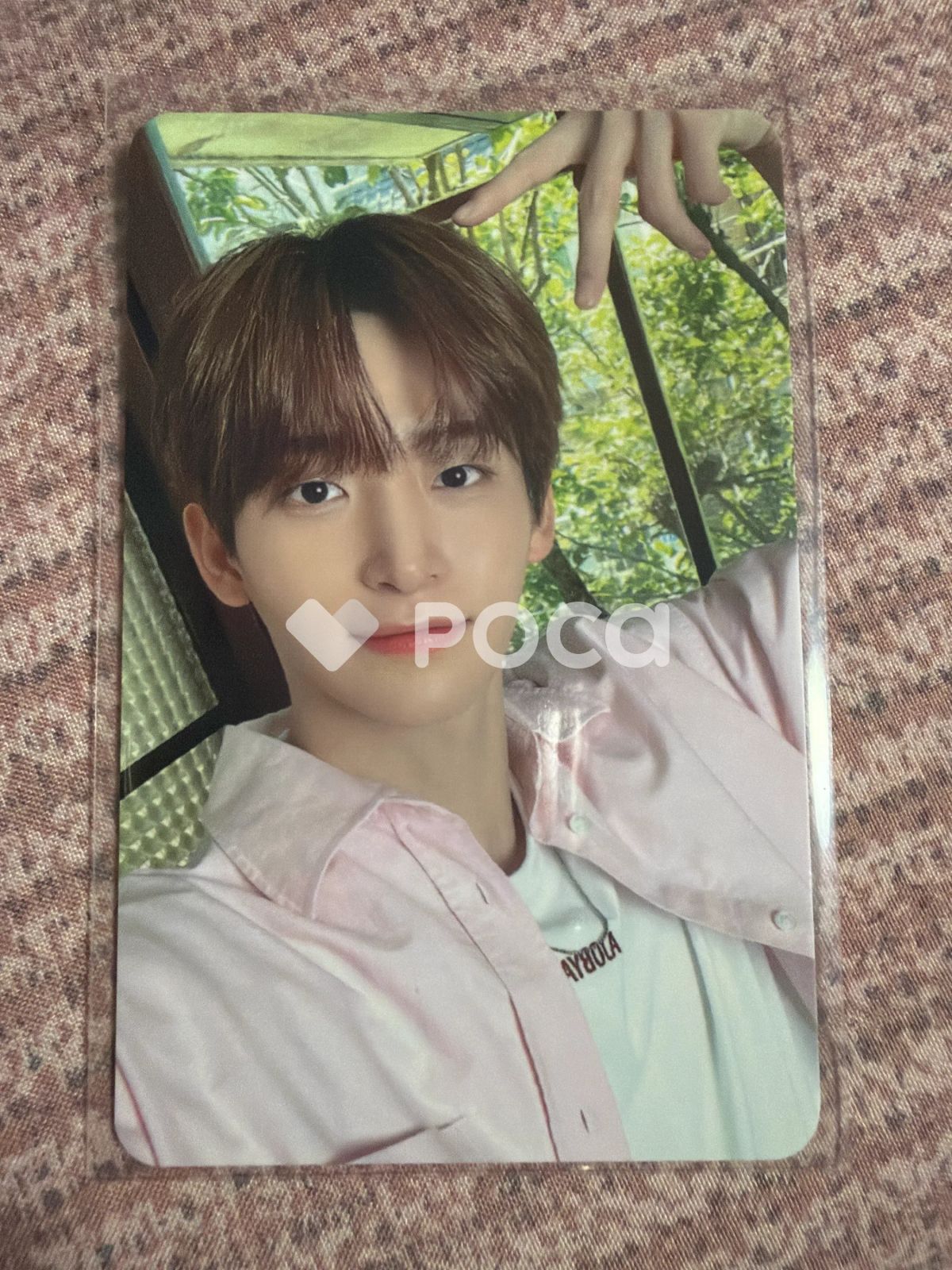 CRAVITY ジョンモ 2024 シーグリ : CRVT-STAY - メルカリ