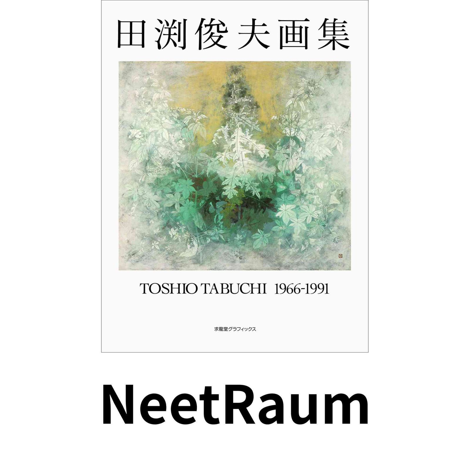人気セール，豊富な 田渕俊夫画集: 1966-1991 (求龍堂グラフィックス) 田渕 俊夫 その他