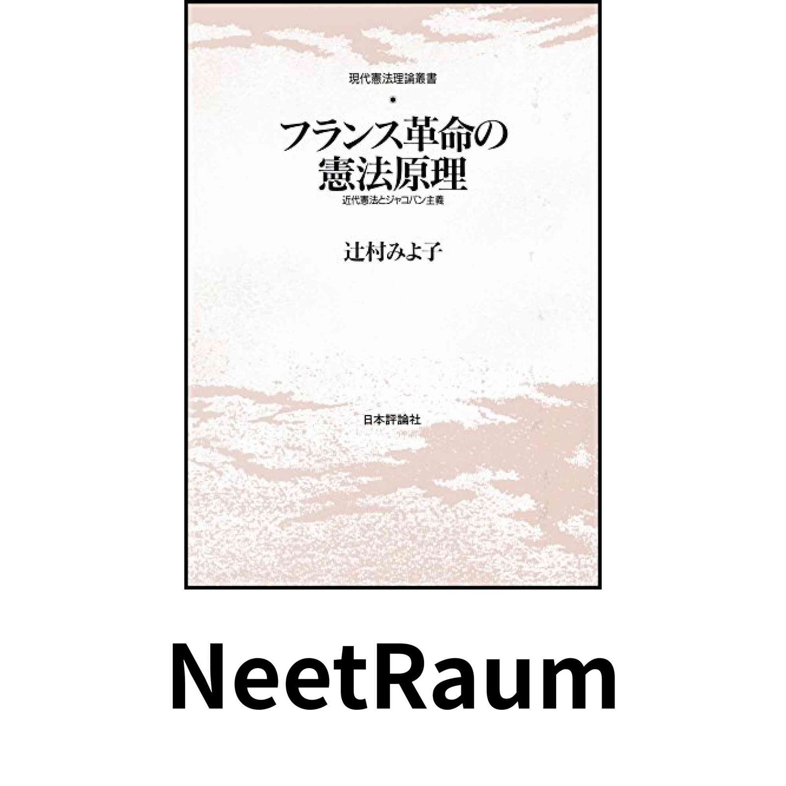 フランス革命の憲法原理: 近代憲法とジャコバン主義 (現代憲法理論叢書