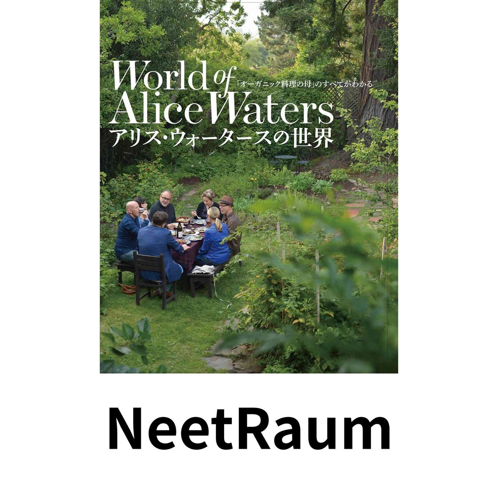 めぞん一刻 DVD 映画 高橋留美子 石原真理子 宮崎美子 田中邦衛 音無響子