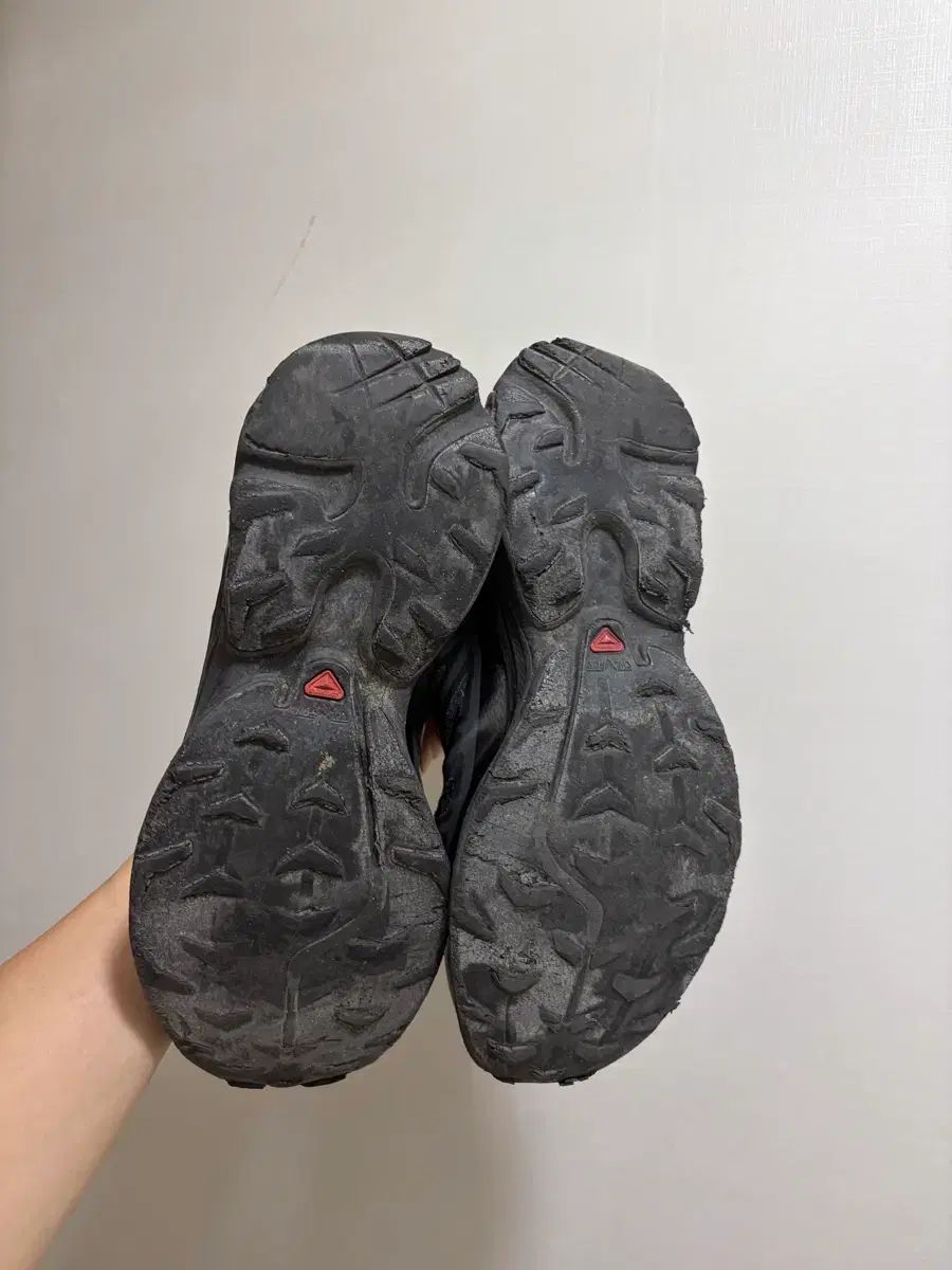 SALOMON サロモン