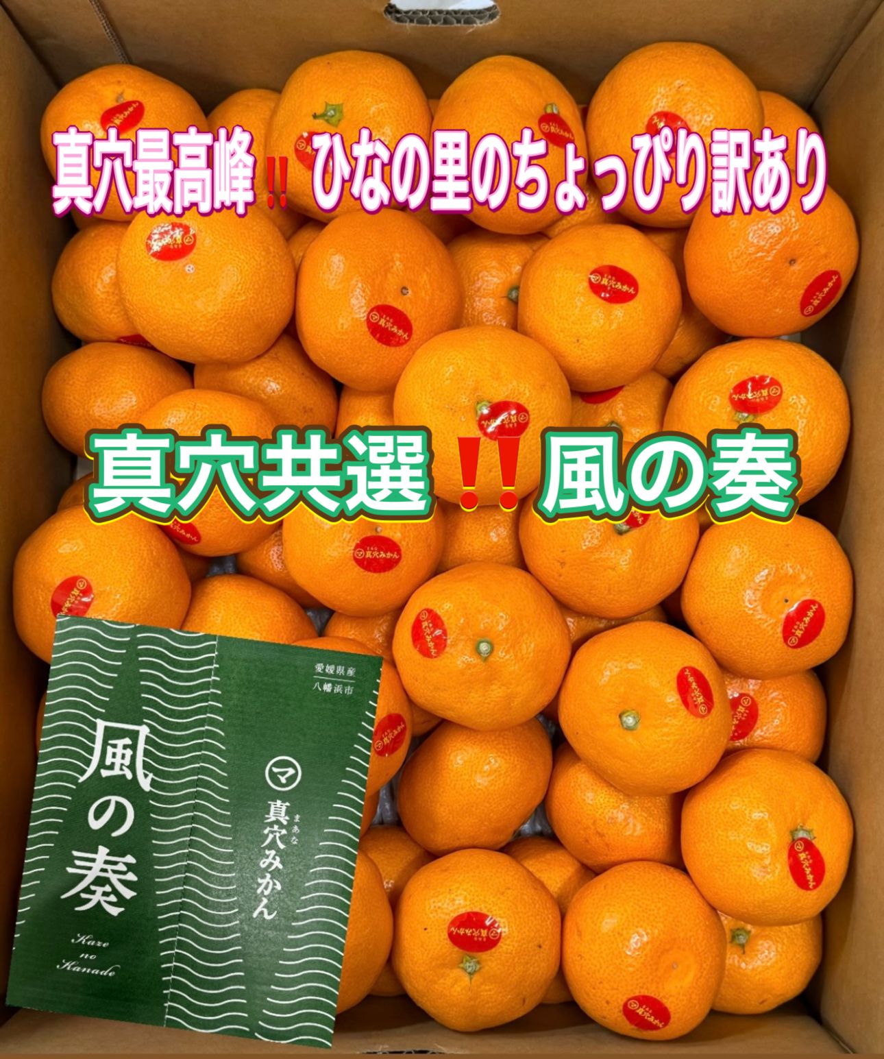本日大チャンス企画きたーー‼️3箱同時‼️まどんな、興居島、真穴みかん9999円20 楽天市場】【年内発送間に合います】愛媛県 JAにしうわ 真穴みかん 3