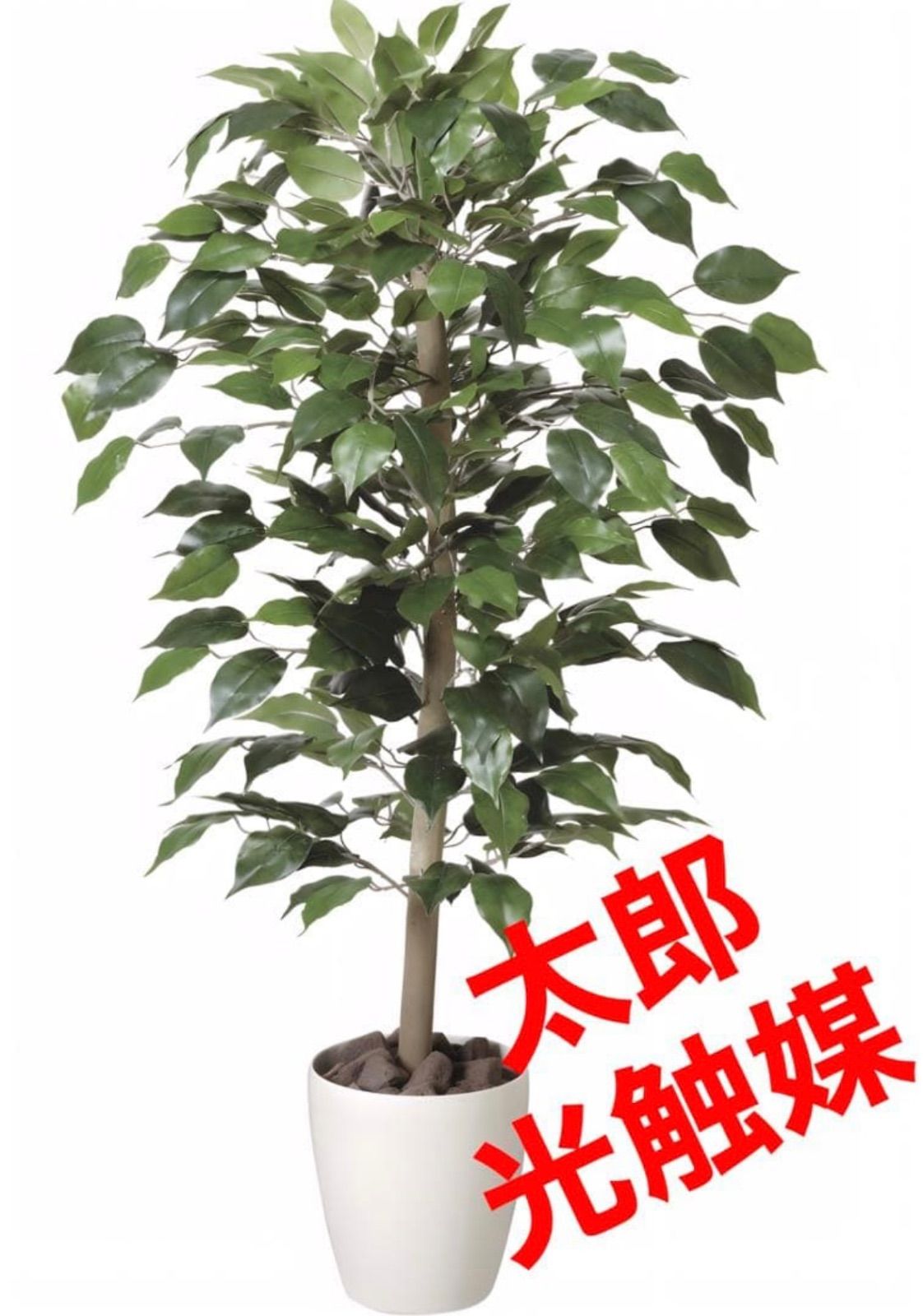 光触媒 人工観葉植物 ウォールグリーン フェイクグリーン ベンジャミン