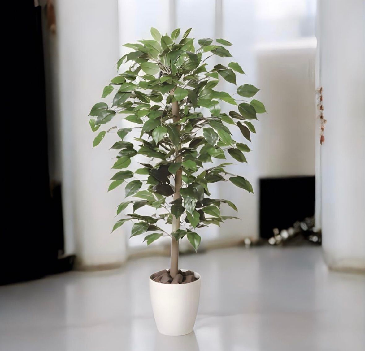 光触媒 人工観葉植物 ウォールグリーン フェイクグリーン ベンジャミン