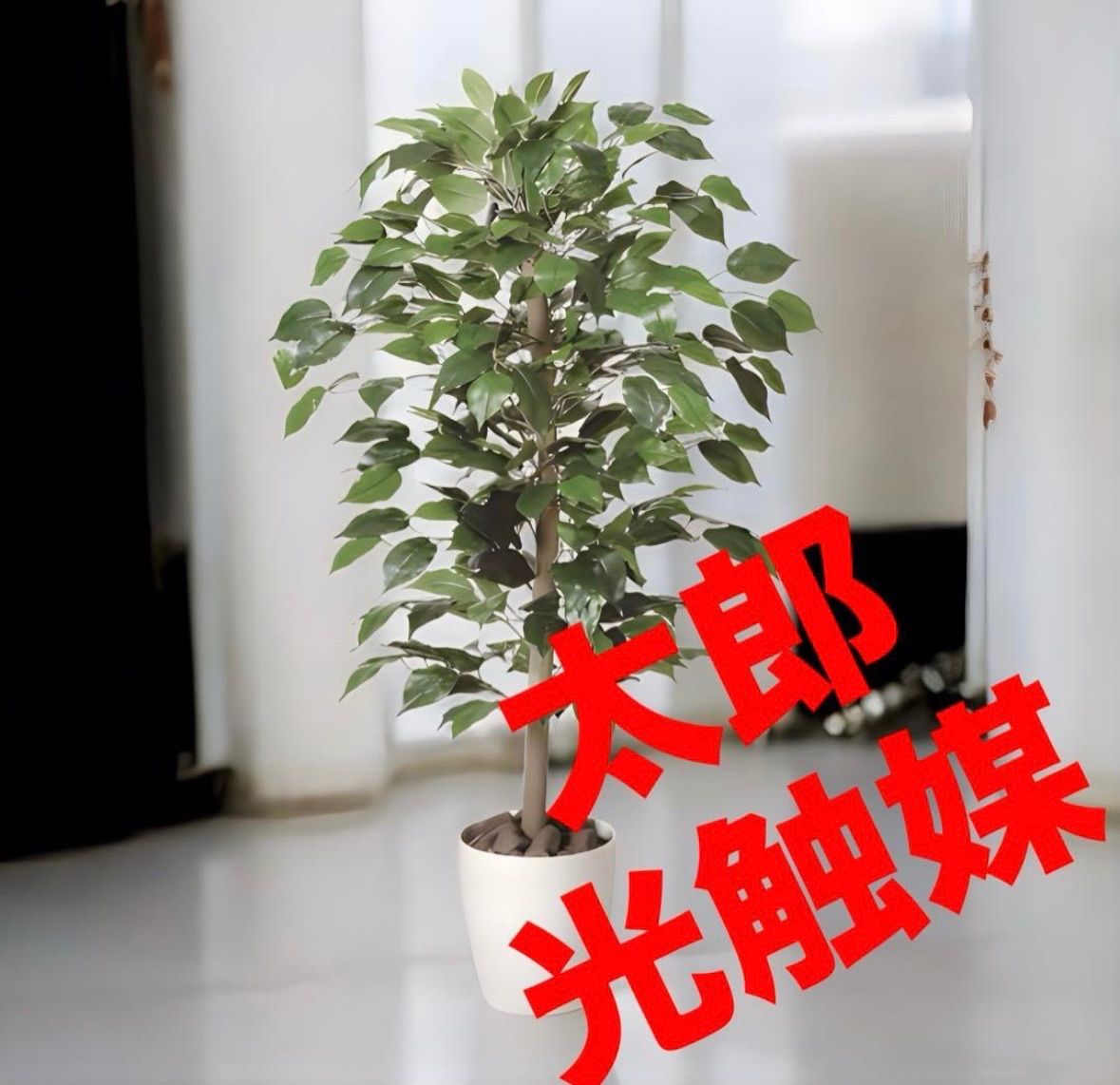 光触媒 人工観葉植物 ウォールグリーン フェイクグリーン ベンジャミン