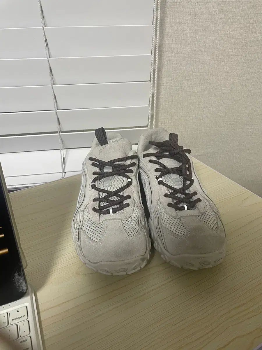 ウェッジウッド　コロンビア　パウダールビー　ディナープレート　27.5cm ユビタマゴ3 マルチカラーピンク 1個 (x 1)