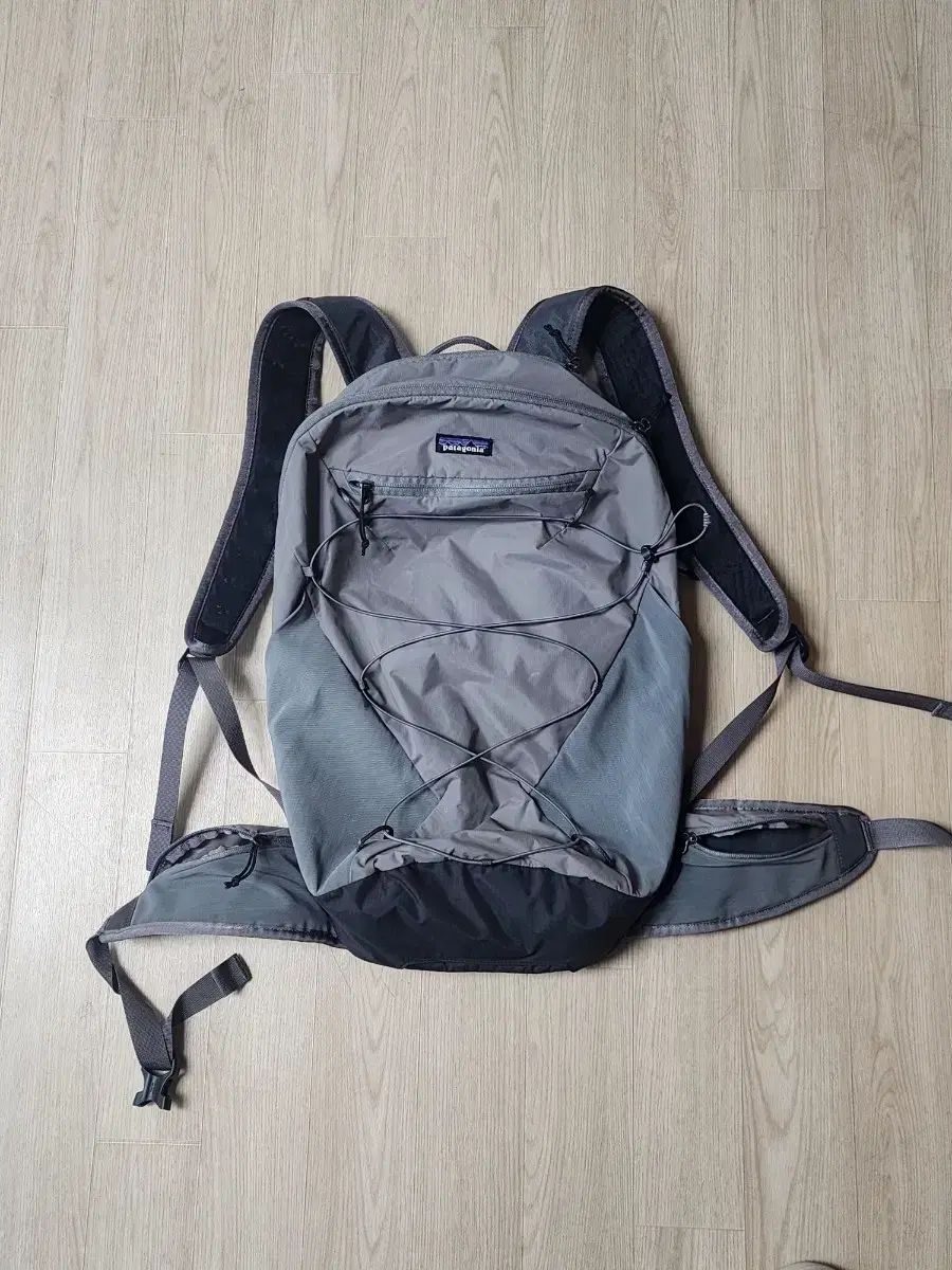 パタゴニア テラビア 22リットル リュック