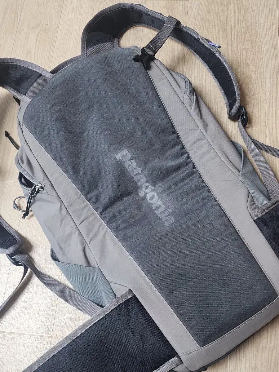 パタゴニア テラビア 22リットル リュック