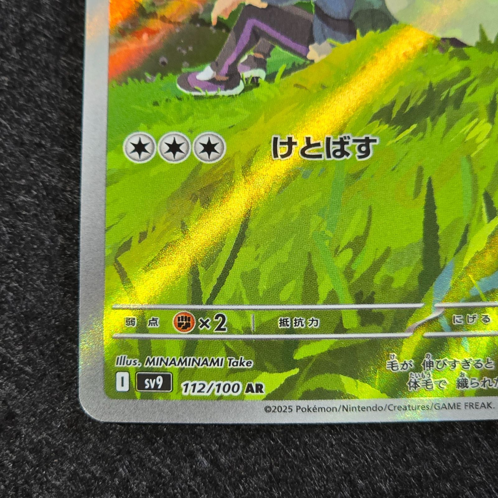 ホップのウールー AR SV9 バトルパートナーズ 112/100 - メルカリ