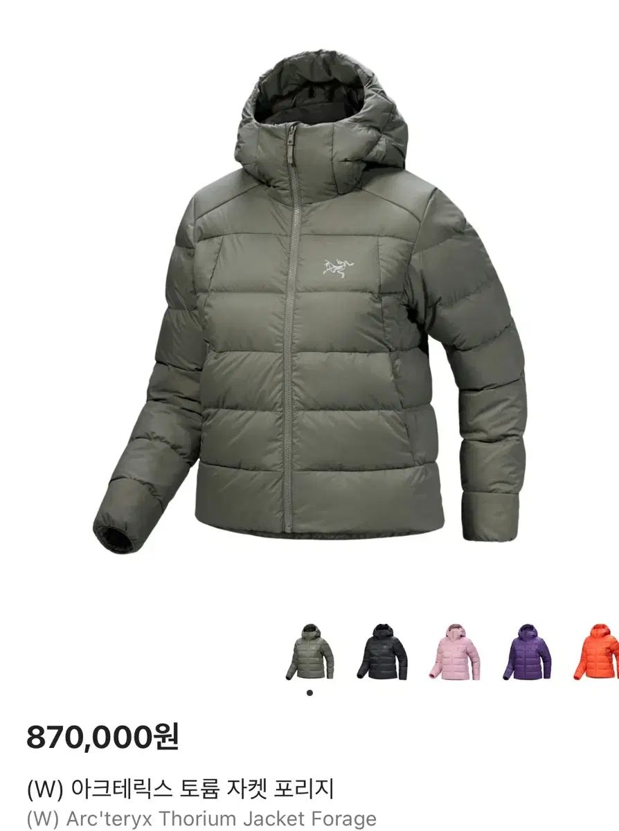 アークテリクス トーリウム ウィメンズ ポリッジ