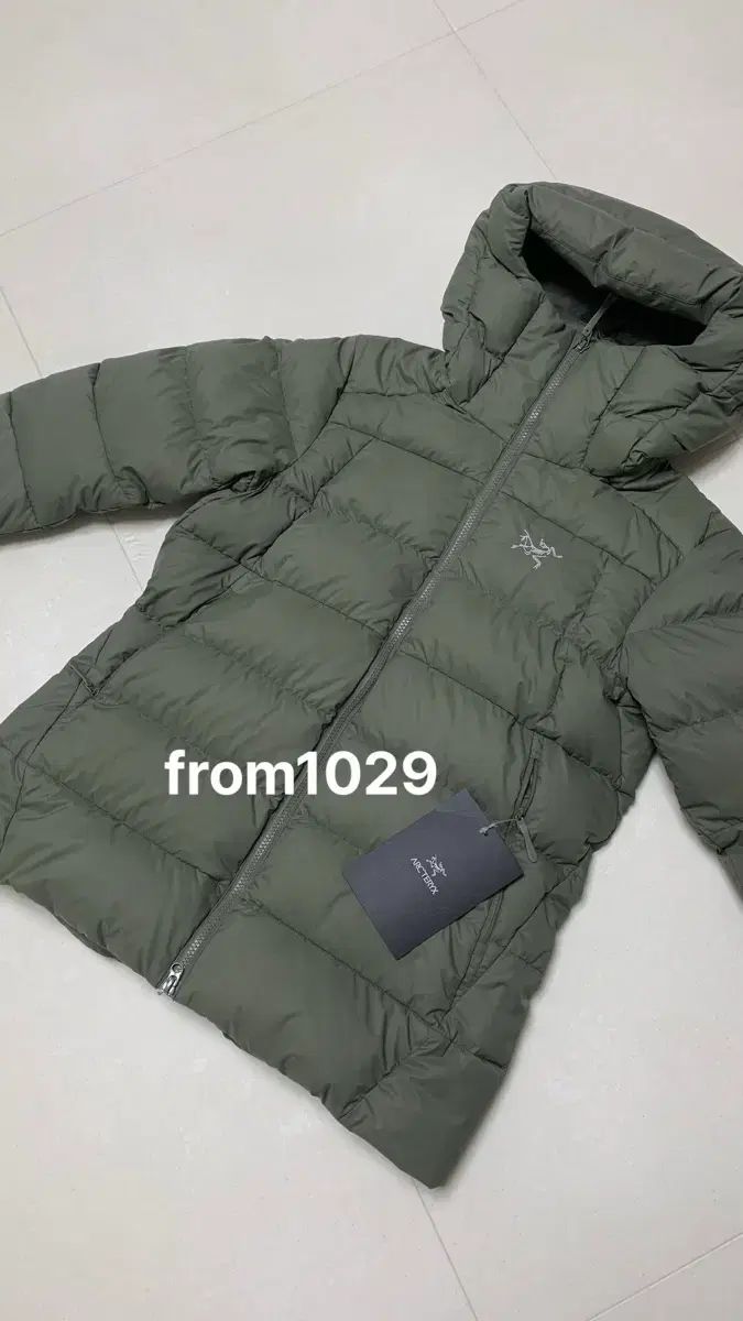 アークテリクス トーリウム ウィメンズ ポリッジ