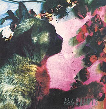 絵描きhiro C「狂気のやすらぎ」 狂気のやすらぎ(品) ストア 絵描きhiro C「狂気のやすらぎ」 絵描き