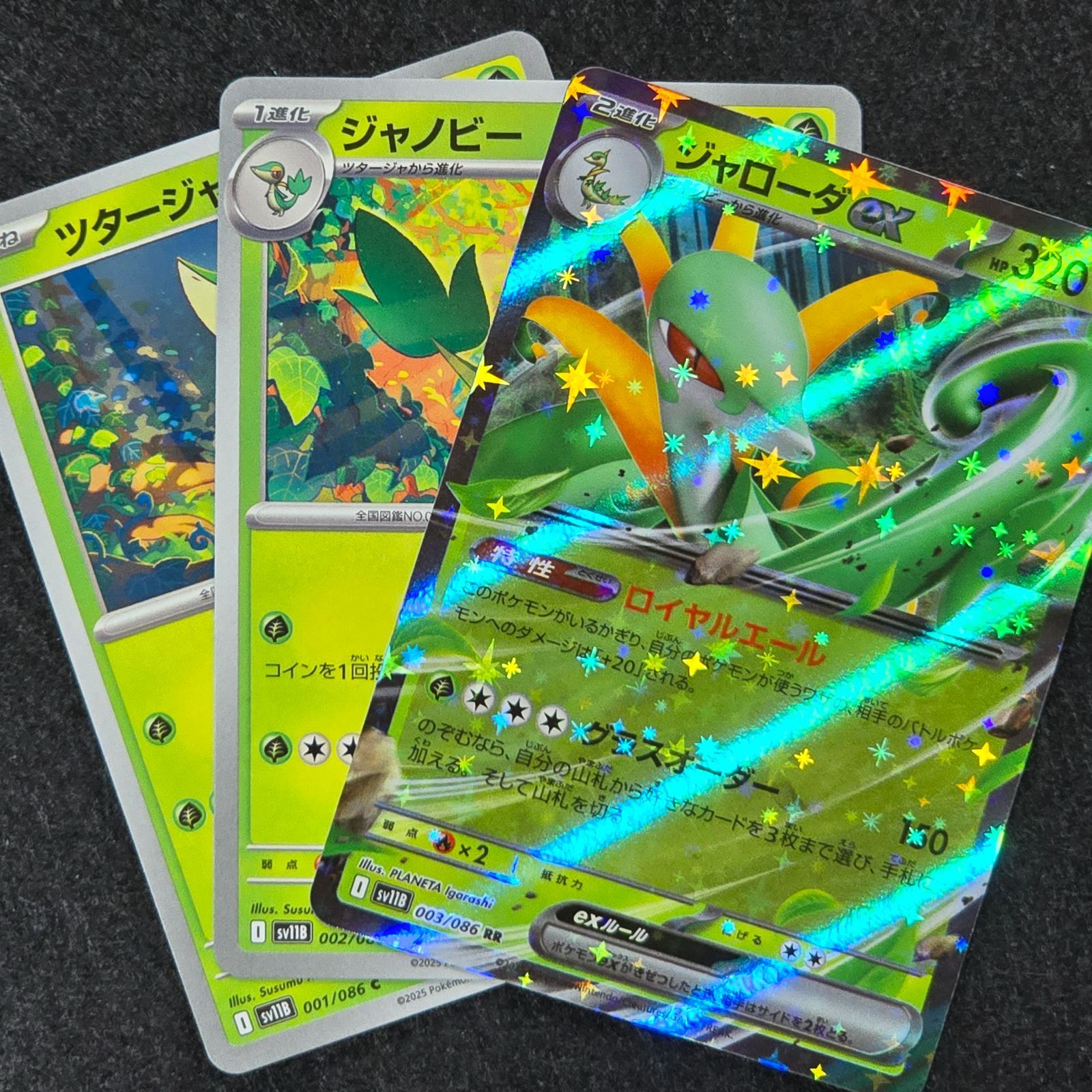 ツタージャ ジャノビー ジャローダex SV11B ブラックボルト 進化ライン