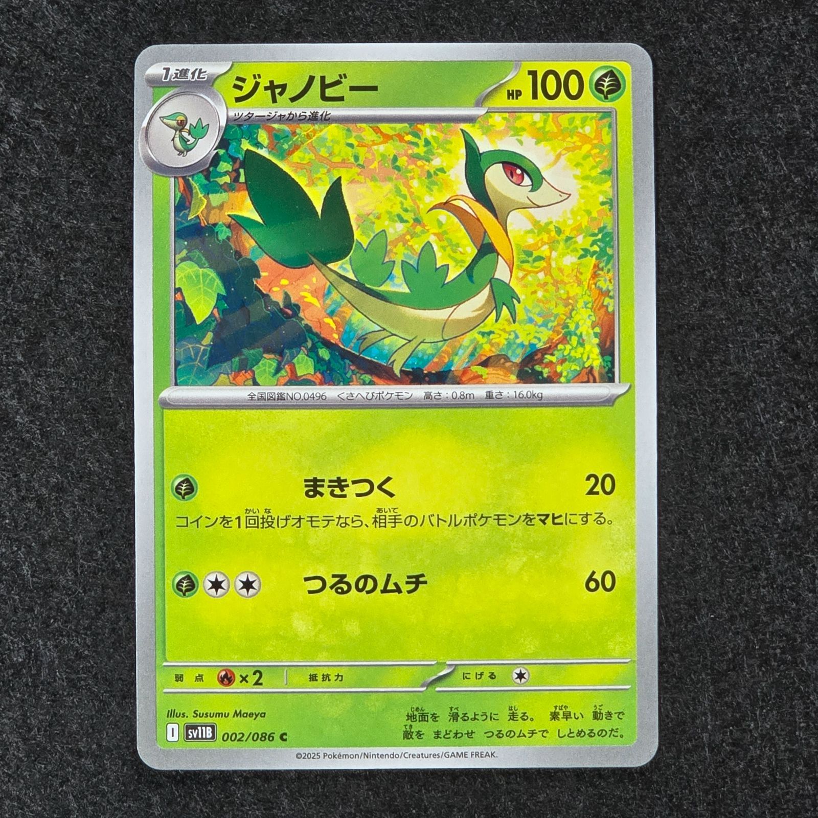 ツタージャ ジャノビー ジャローダex SV11B ブラックボルト 進化ライン