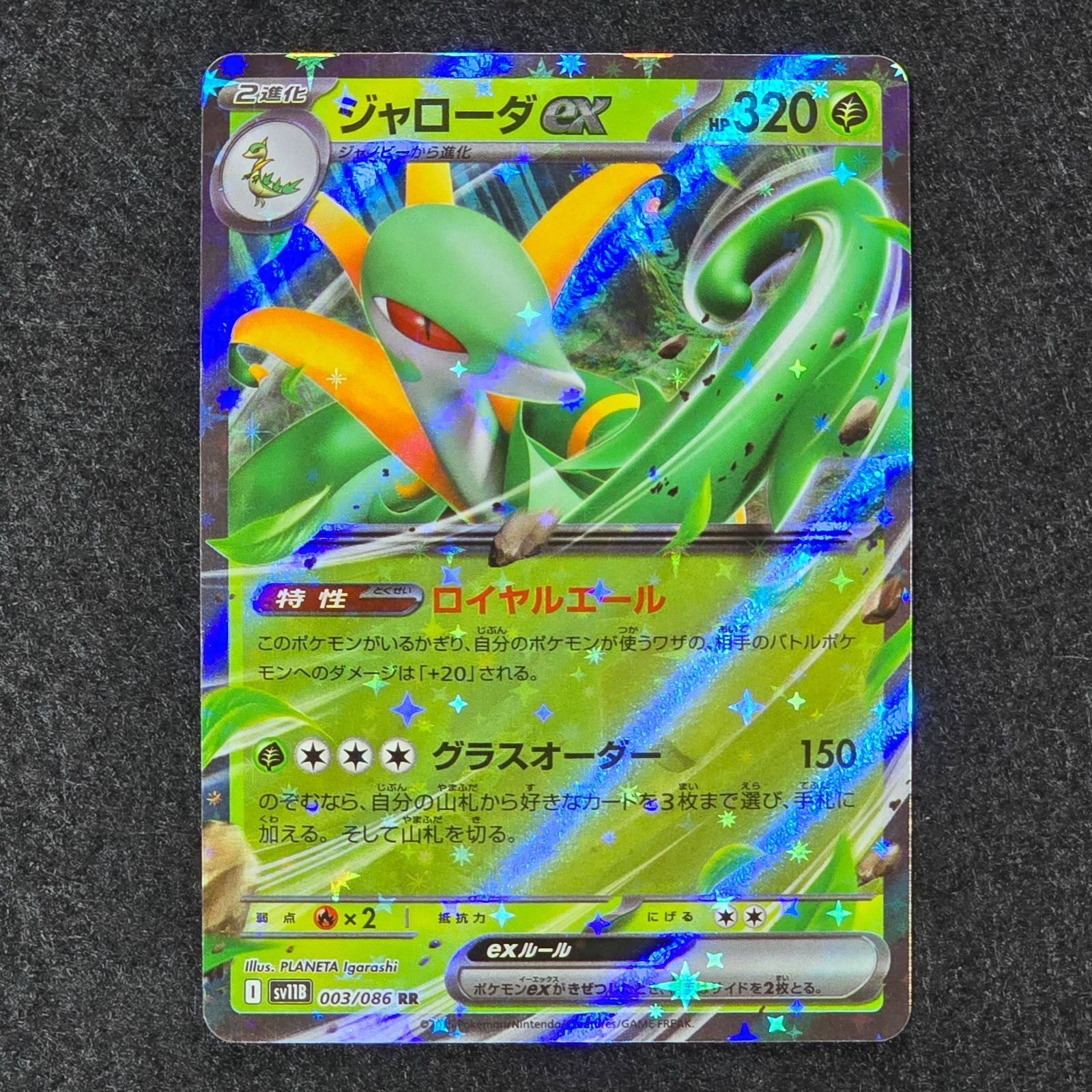 ツタージャ ジャノビー ジャローダex SV11B ブラックボルト 進化ライン