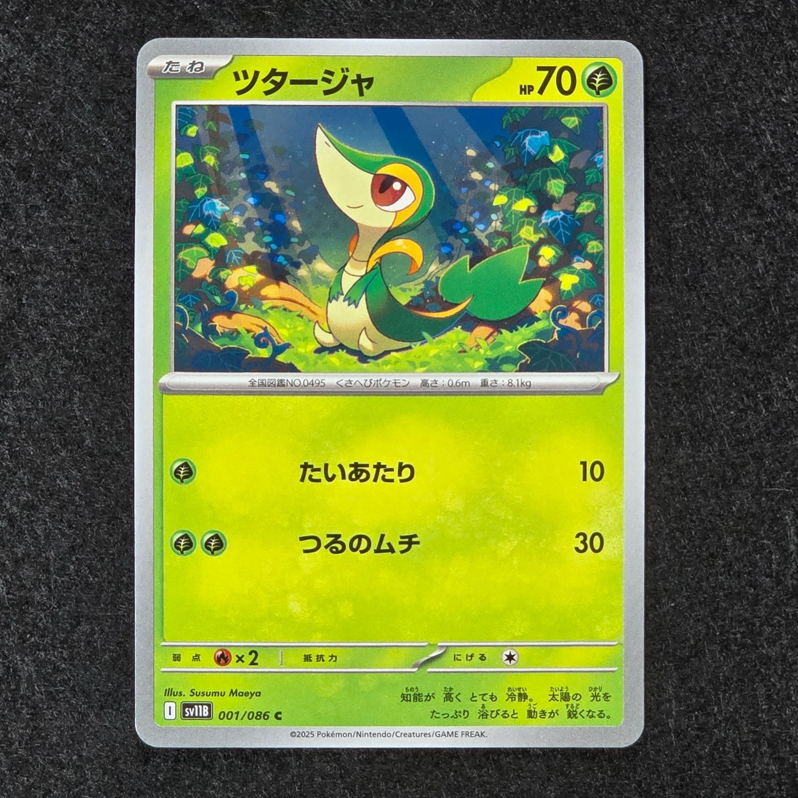 ツタージャ ジャノビー ジャローダex SV11B ブラックボルト 進化ライン