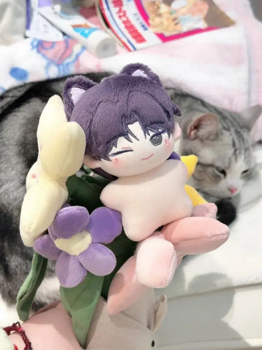 SEVENTEEN(セブンティーン・セブチ) ウォヌ(WONWOO) ぬいぐるみ - メルカリ