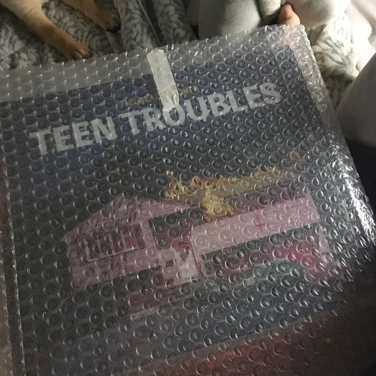 The Black Skirts コムジョンチマ 着色 LP 販売