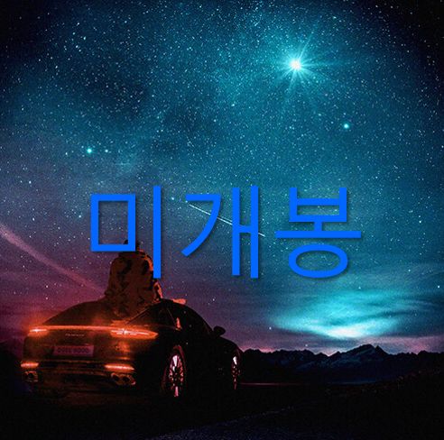 未開封 チャンモ ー 1 家 ／ Boyhood （ CD ） 販売済み 未開封