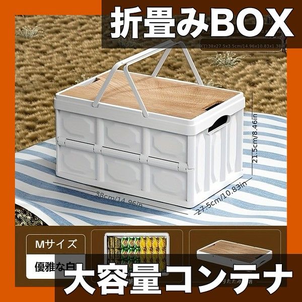 無菌製造法に関する製造指針と品質管理-PIC/S GMP対応版 室井正志