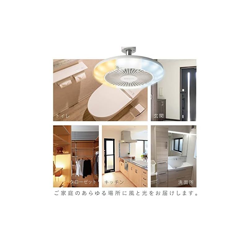 サーキュライト